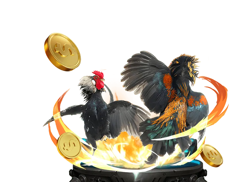 Trải nghiệm đá gà trực tuyến tại 39go99 game